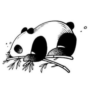 Tilluke ajutine tattoo panda