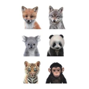 Väike ajutine tattoo loomalapsed