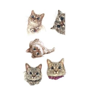 Väike ajutine tattoo kassid